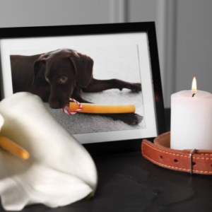 condolencias