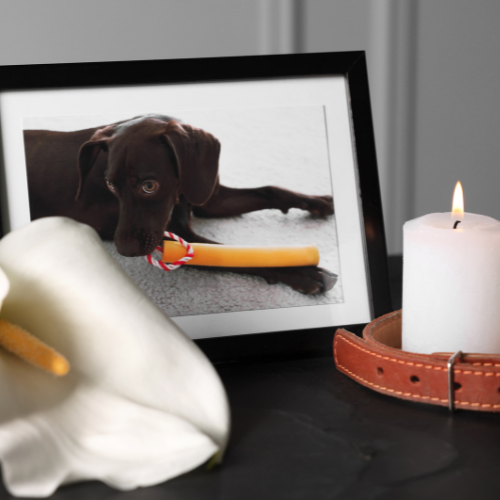 condolencias