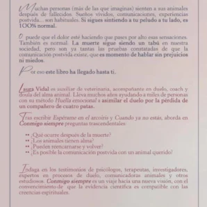 Conmigo siempre