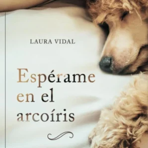 Espérame en el arcoíris
